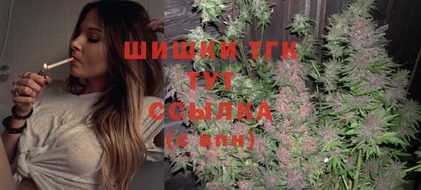 шишки Абинск