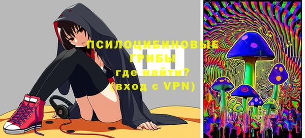 шишки Абинск